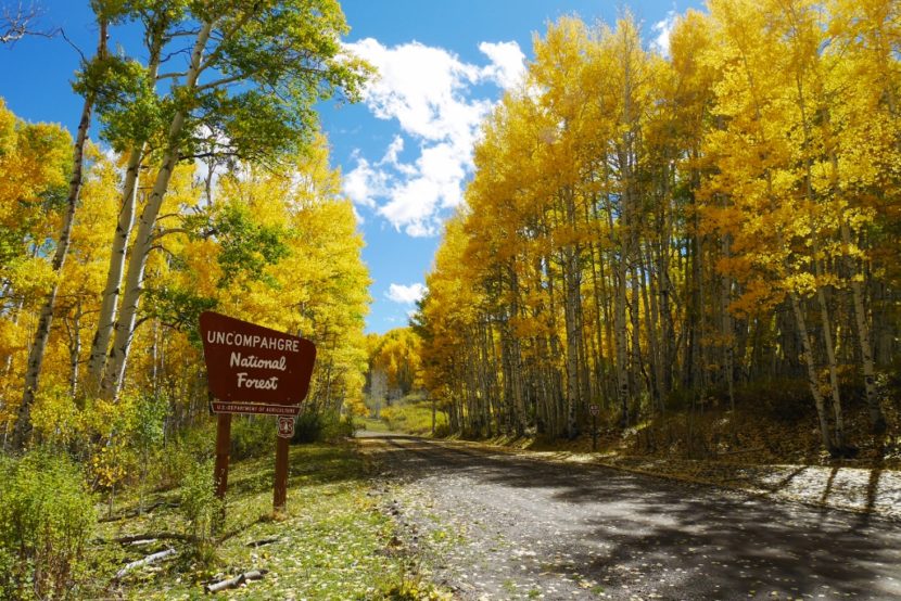 Western Colorado’s Newest Mountain Bike Destination